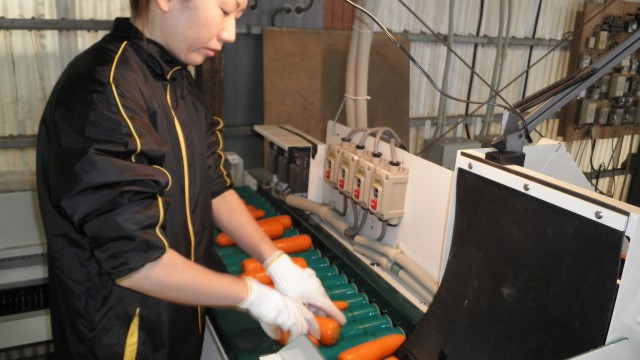 生産者向け洗浄・選果機 « 松山産業 株式会社 小型コンピュータ方式